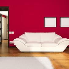 Why You Should Hire an Interior Painter