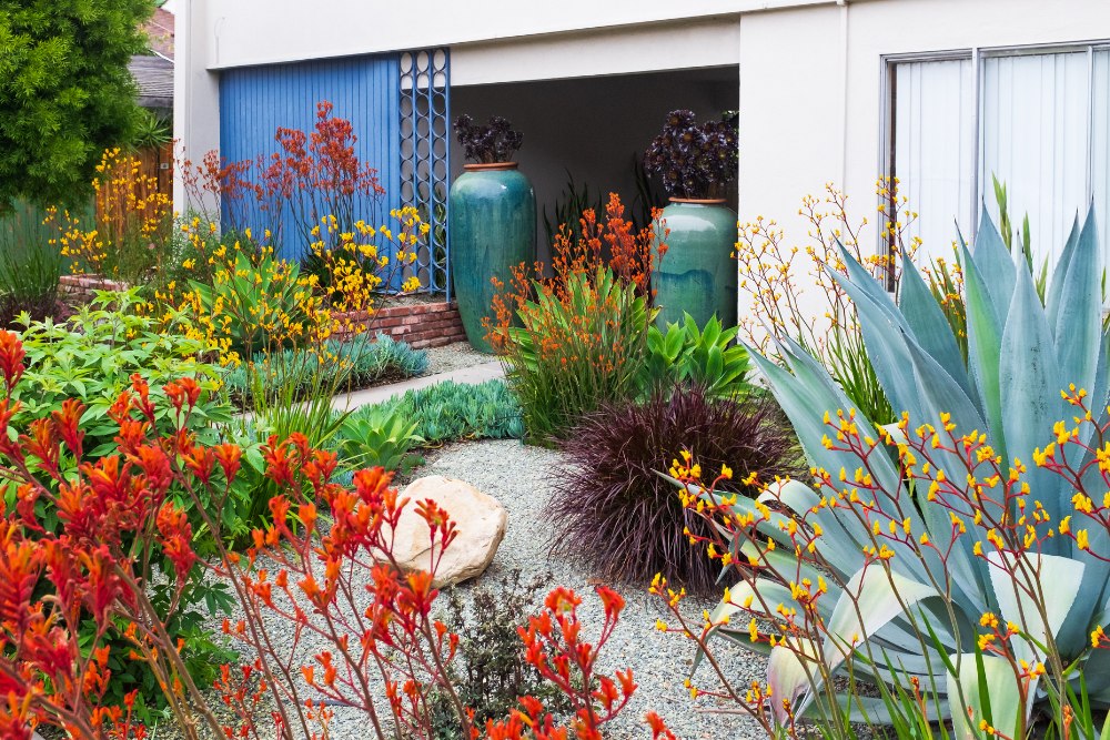 California home landscaping